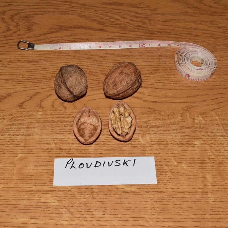 Plovdivski