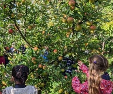 Tree Council 'Orchards for Schools'