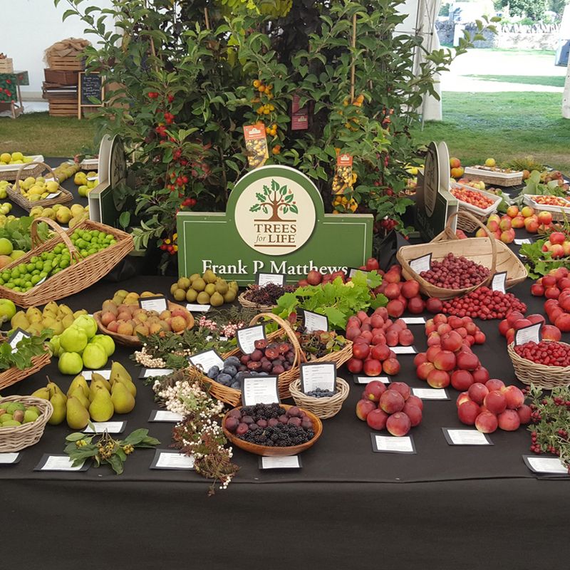 Frank P Matthews Win RHS Award for Fruit Exhibit