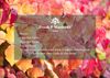Voucher Option 11