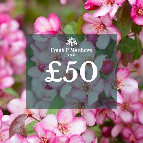 Online Voucher - £50