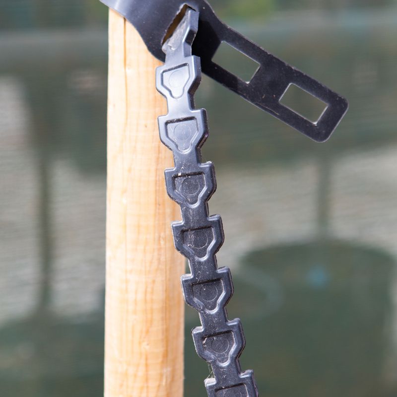 Stake and Tie Planting Kit