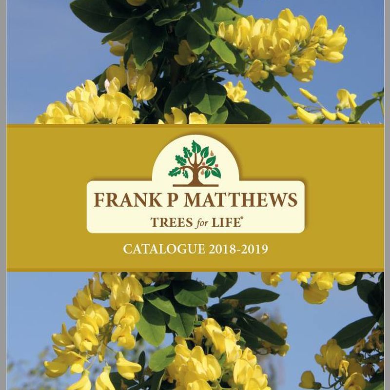 New Season 2018/2019 Catalogue Has Arrived!