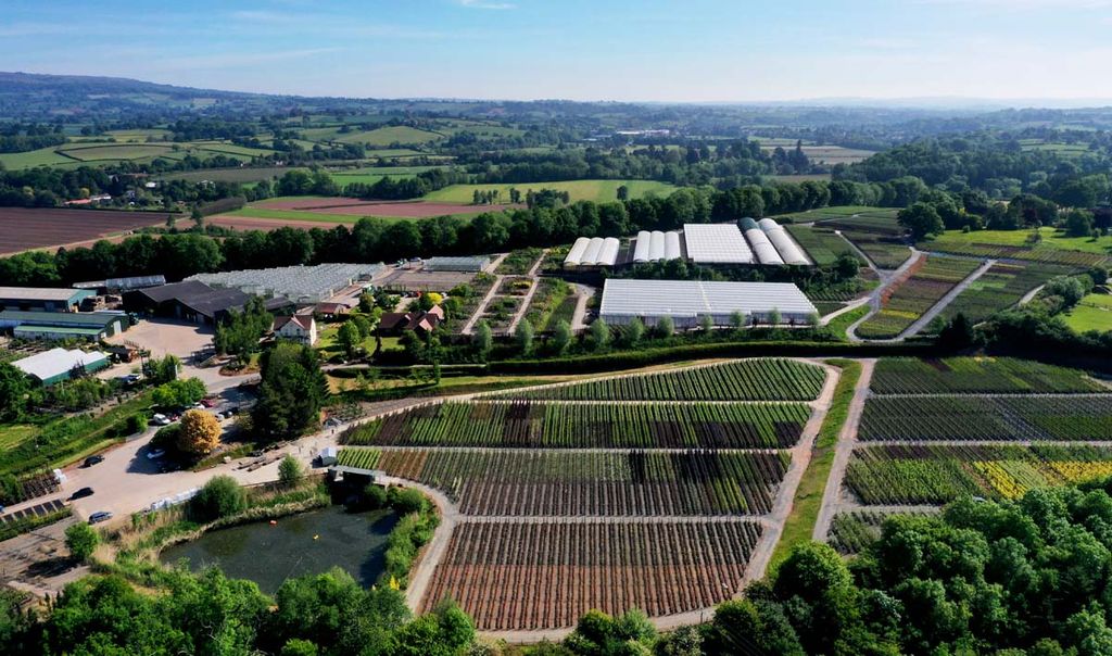 Frank Matthews Nursery