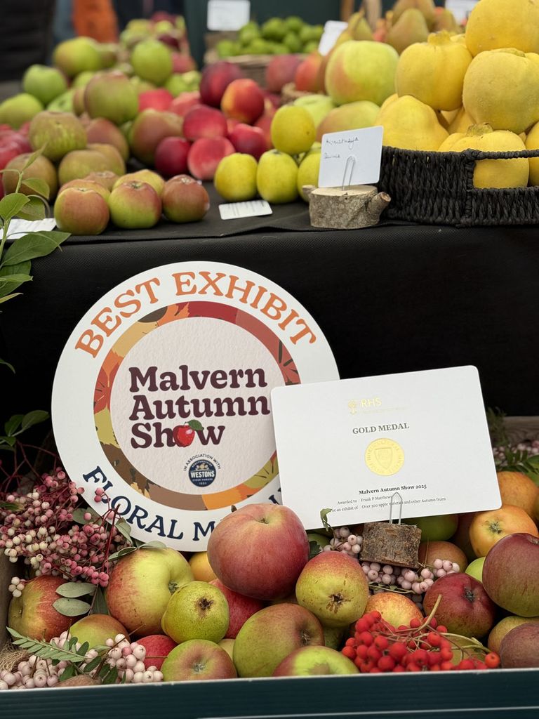 Best in Show at Malvern Autumn Show 2025