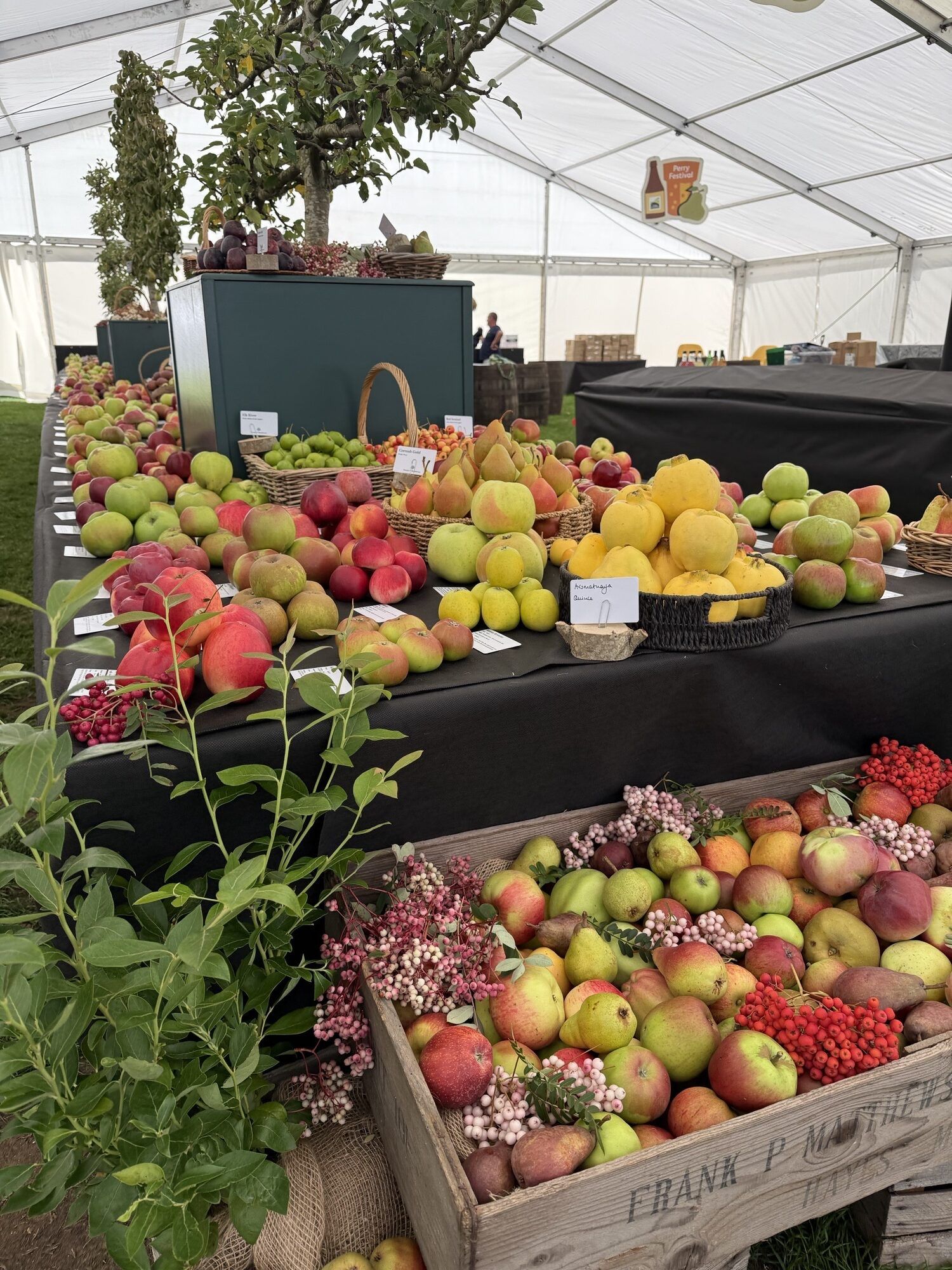 Malvern Autumn Show 2025