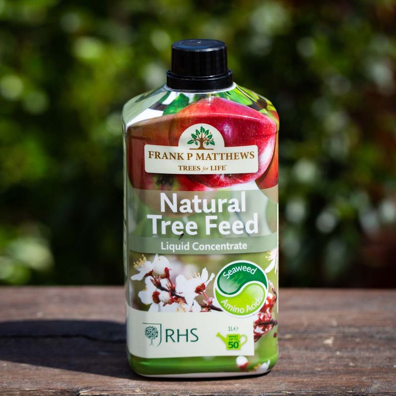 Natural Tree Feed