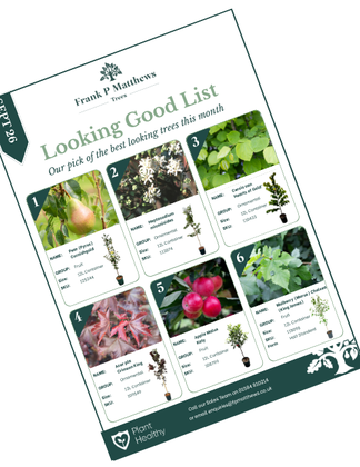 Looking Good List