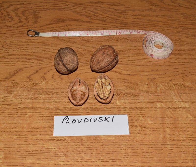 Plovdivski