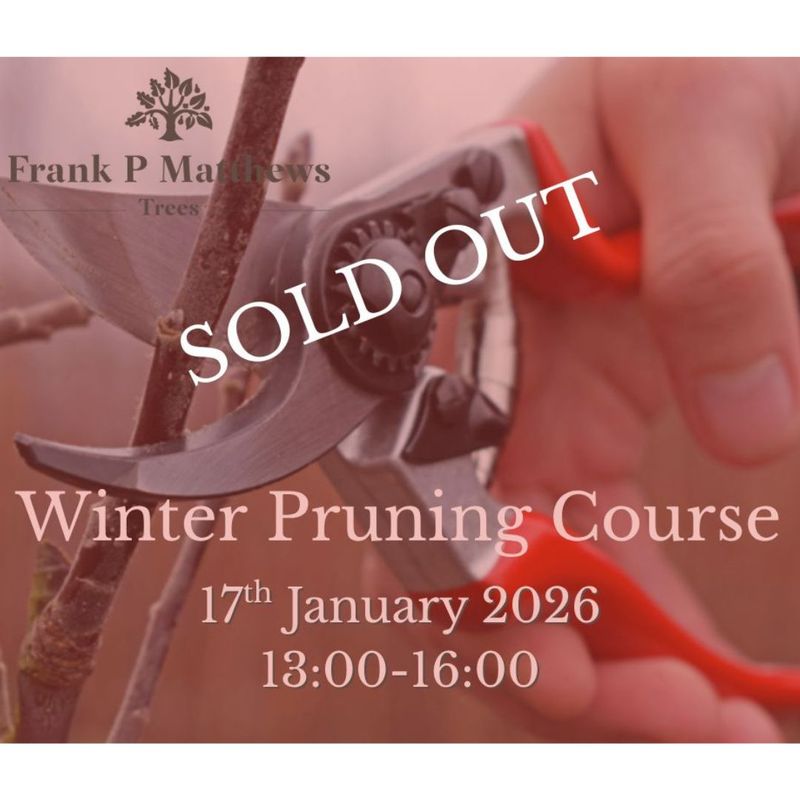 WInter Pruning Course