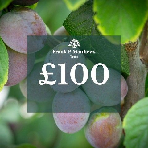 Online Voucher - £100