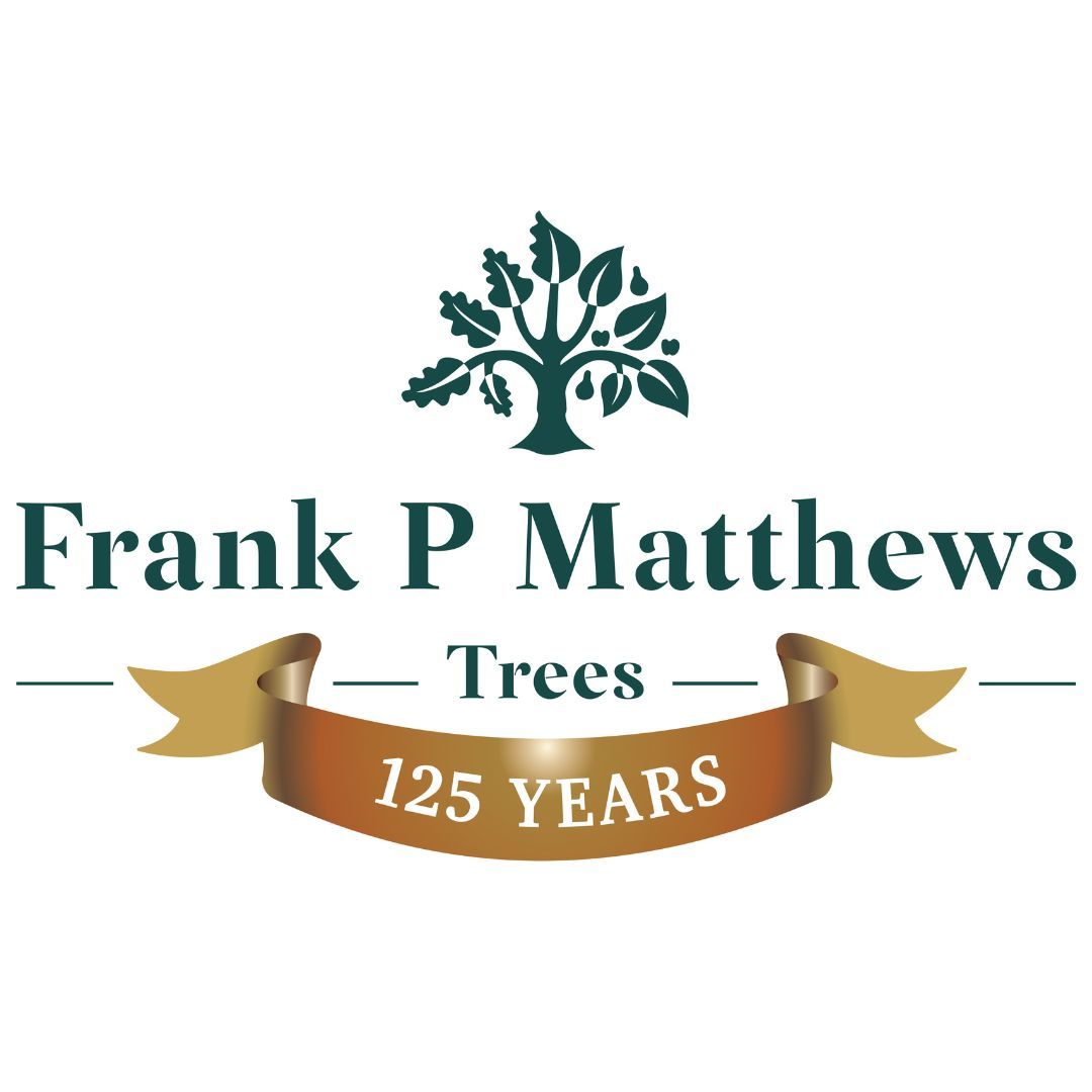 125th Anniversary