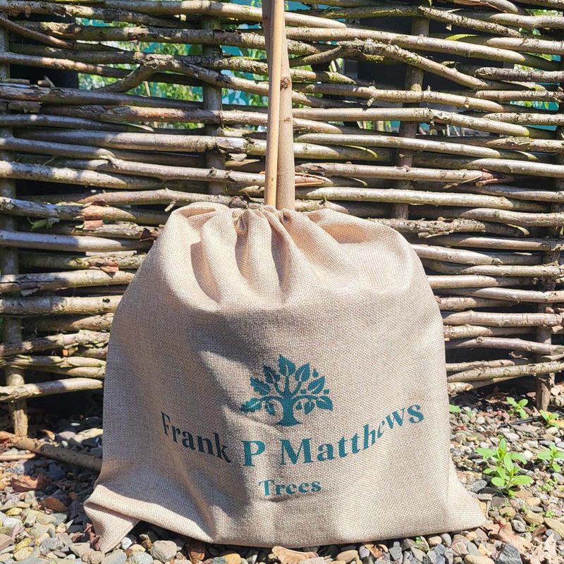 Hessian Gift Bag