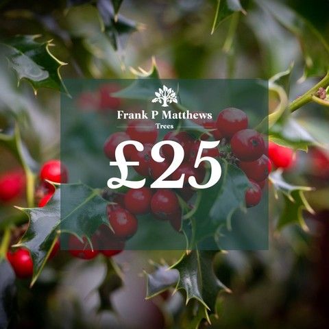 Online Voucher - £25