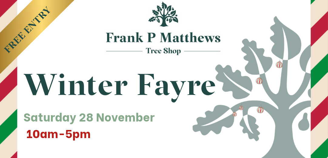 Tree Shop Winter Fayre