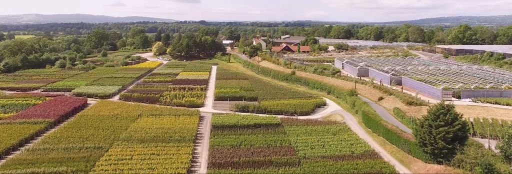 Sustainability at Frank P Matthews