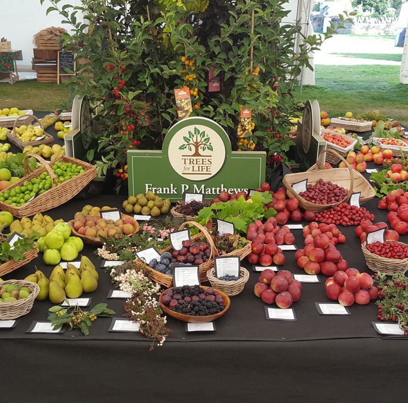 Frank P Matthews Win RHS Award for Fruit Exhibit