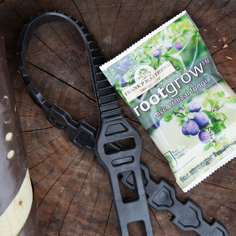 Tree Planting Kit