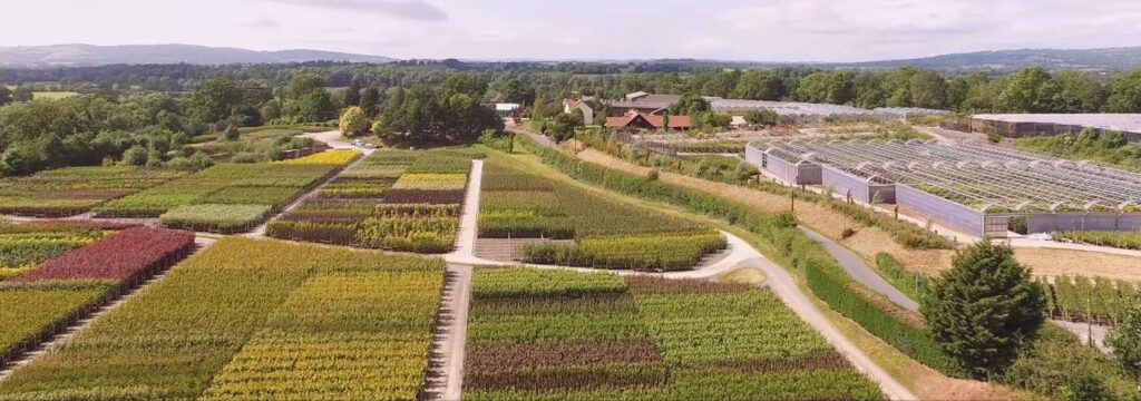 Roots to Retail at Frank P Matthews