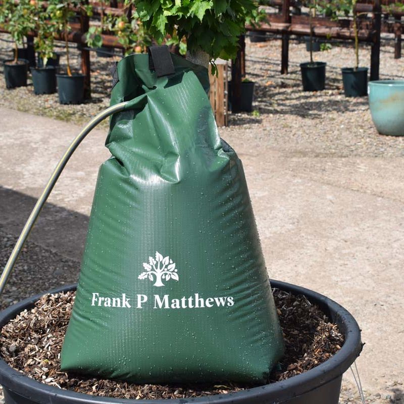 tree watering bag