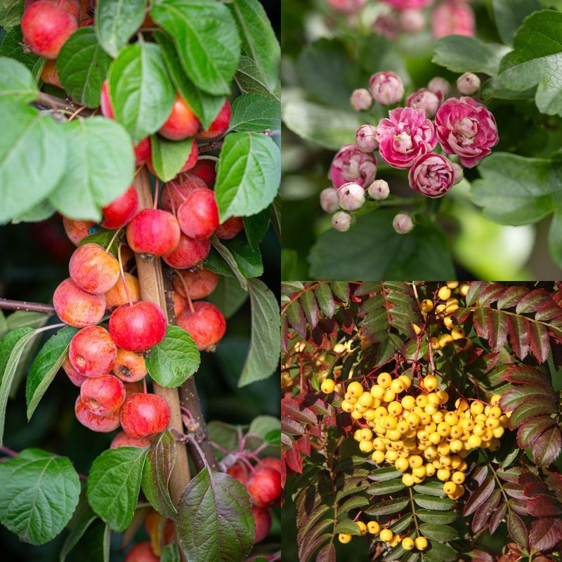 Wildlife friendly collection