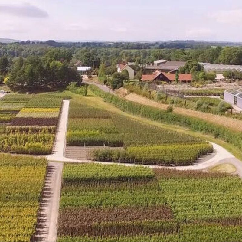 Sustainability at Frank P Matthews