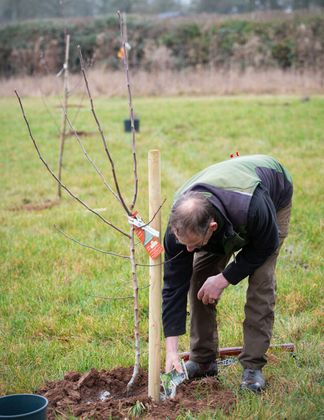 Autumn best for planting trees