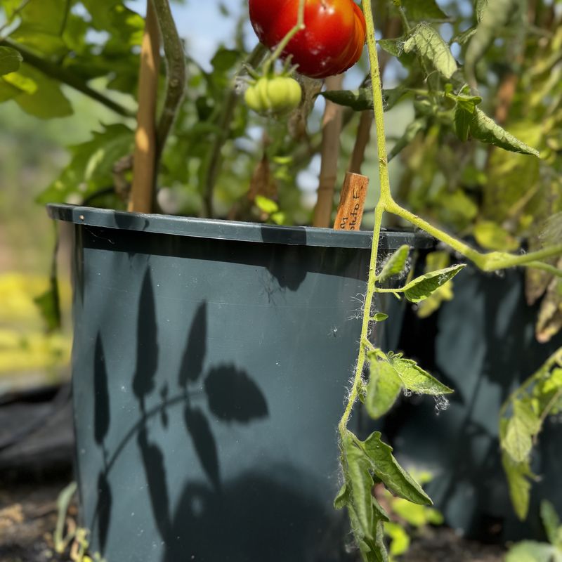 Recycled Plastic Pot