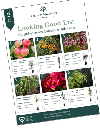 Image to show Looking Good List for October 2026