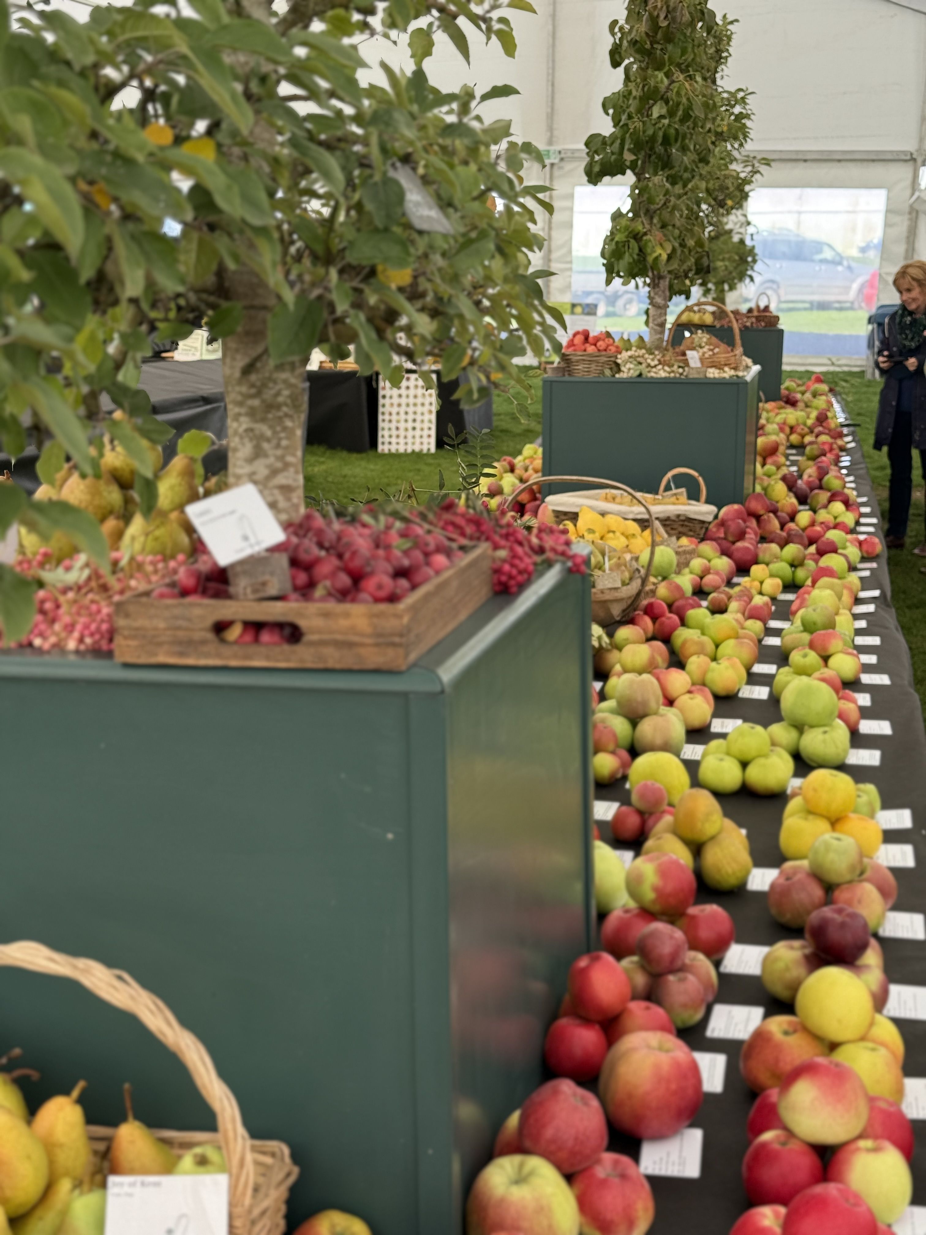 Malvern Autumn Show 2025