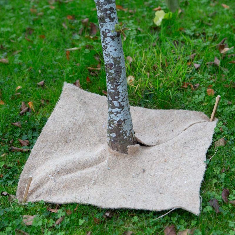 Ecomatt Bio