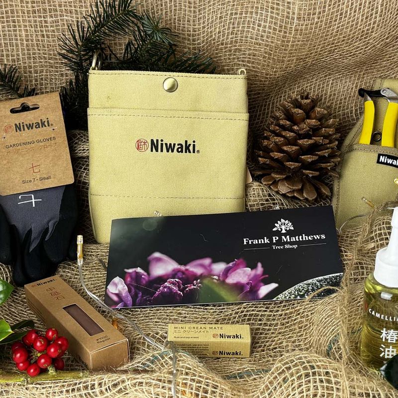 Tree Lover’s Gift Box
