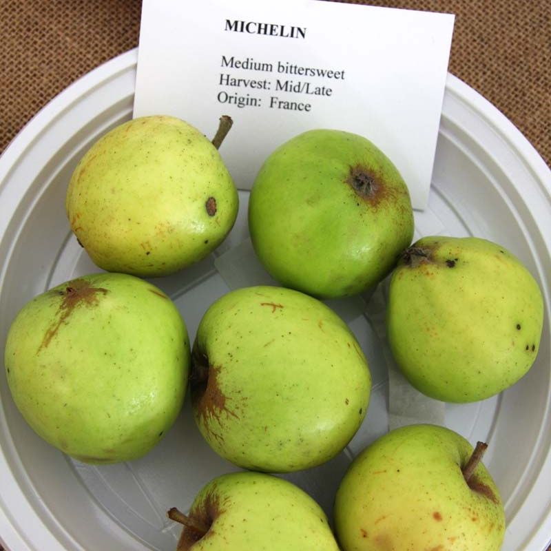 Cider Apple Michelin