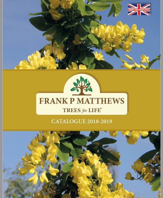 New Season 2018/2019 Catalogue Has Arrived!