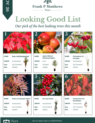 Looking Good List Autumn Colour November