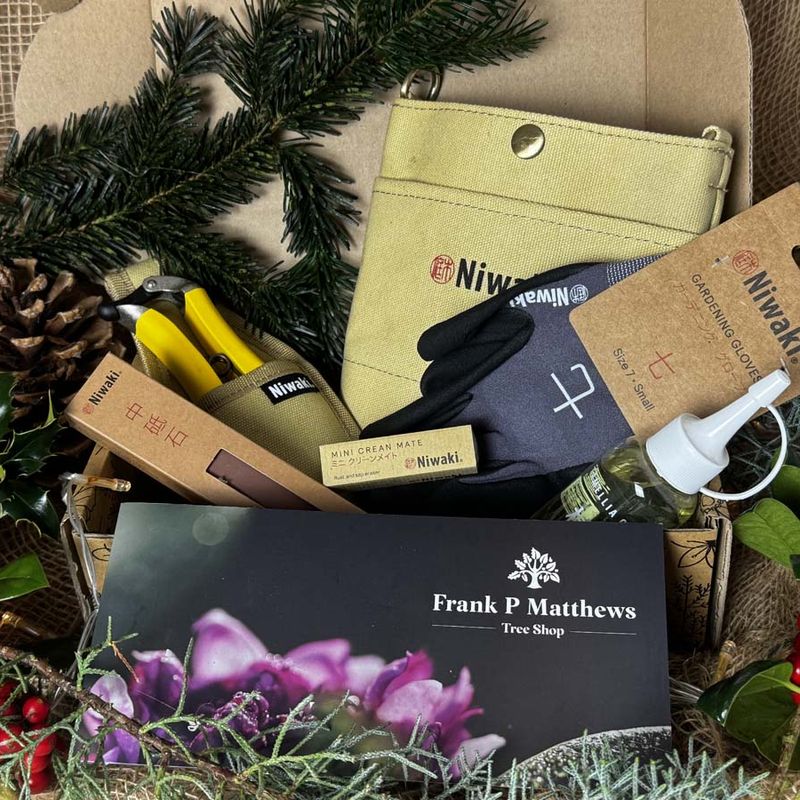 Tree Lover’s Gift Box