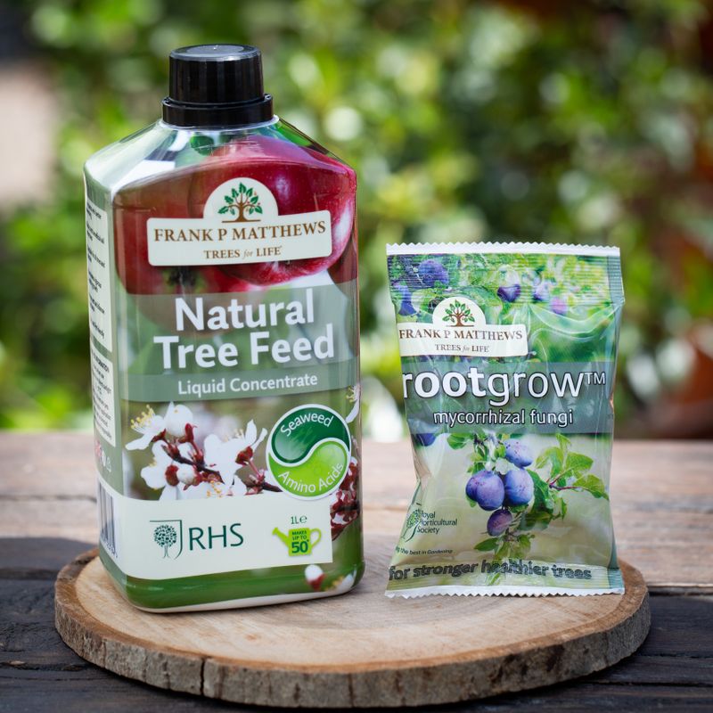 Tree Care Essentials 1