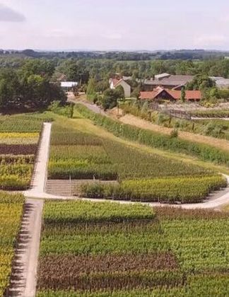 Sustainability at Frank P Matthews