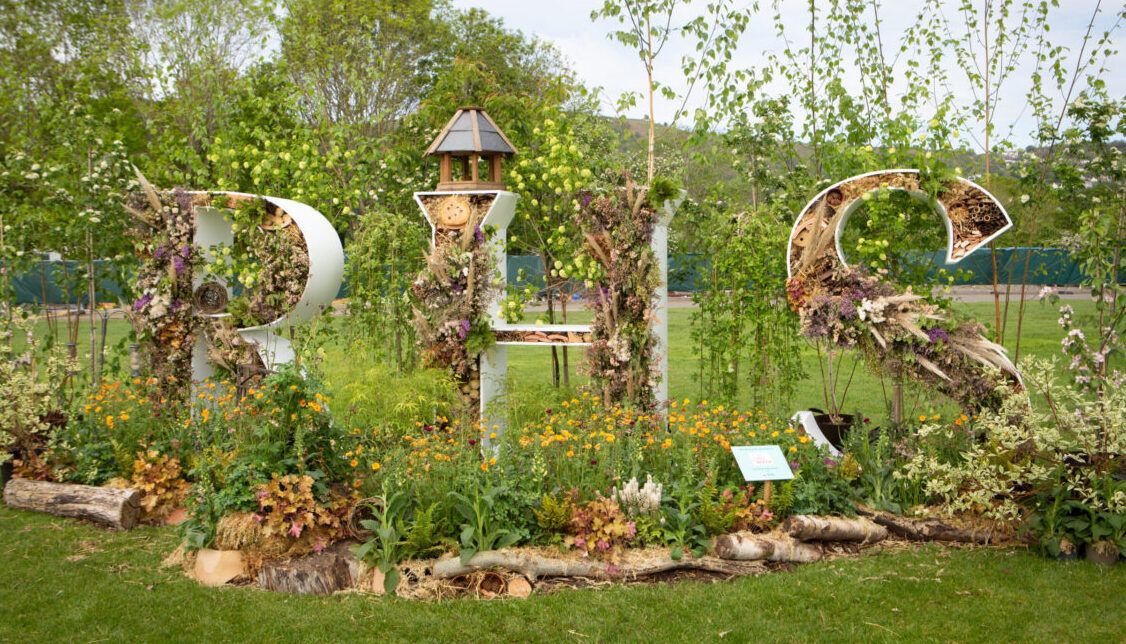 RHS Chelsea Flower Show