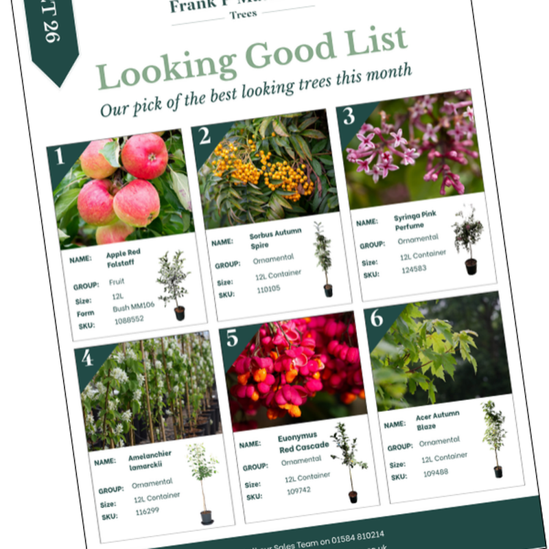 Image to show Looking Good List for October 2026