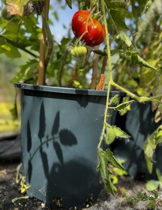Recycled Plastic Pot