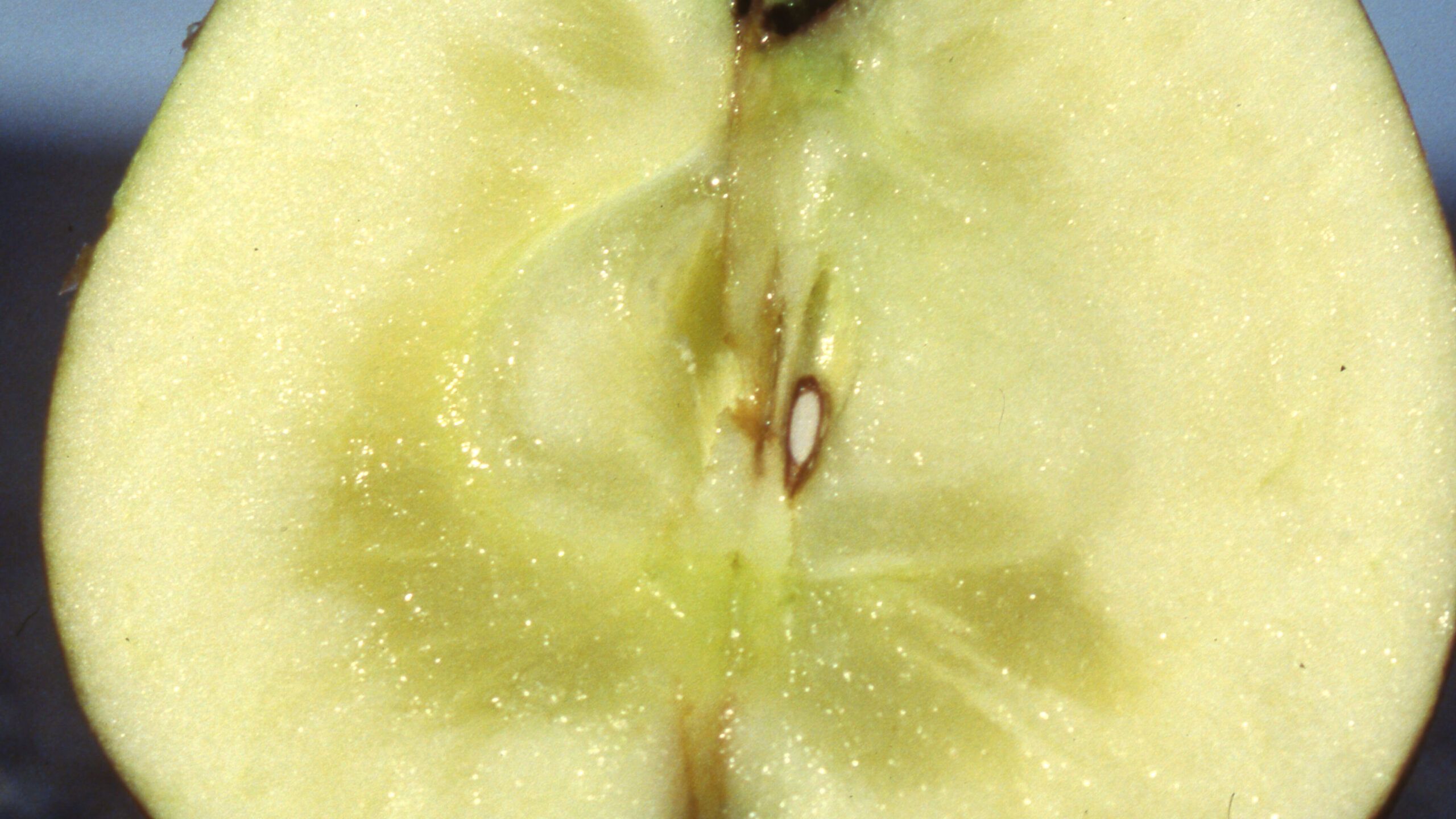 Water Core,